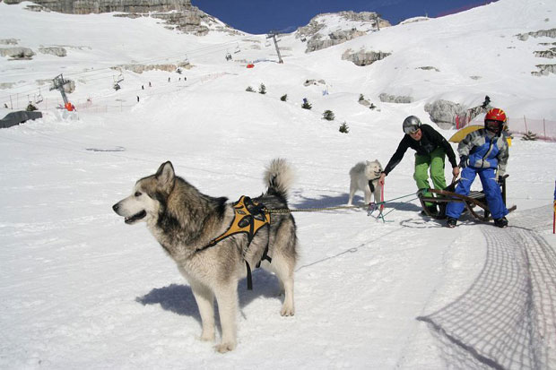 Једно зимовање, а скијање у три државе